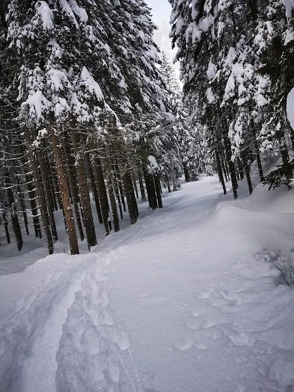 Surrounded By A Breathtaking Panorama! Cortina 4+2 Beds, Two Bathrooms On Two Floors Cortina d'Ampezzo 0*,  Italy